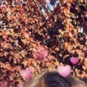 Meet your Posher, Celestial